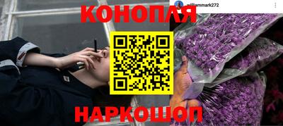 гидропоника Бугуруслан