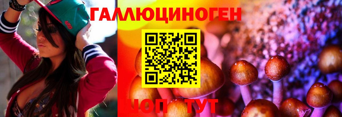 Рассказово  Псилоцибиновые грибы MAGIC MUSHROOMS  как найти наркотики  Вход с VPN 